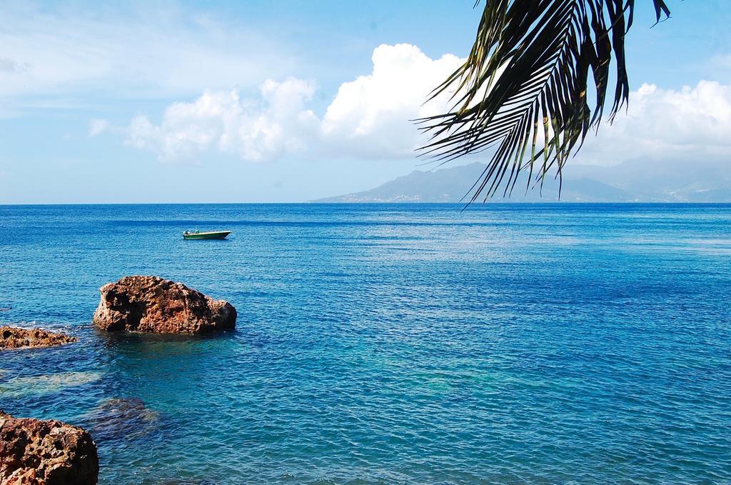 Mangoplaya Villa Deshaies Exteriör bild