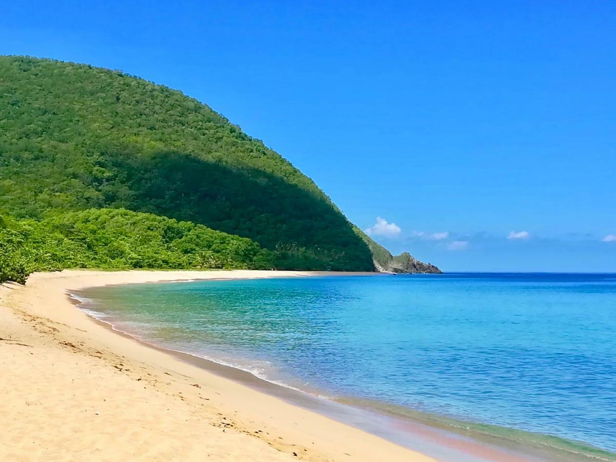 Mangoplaya Villa Deshaies Exteriör bild