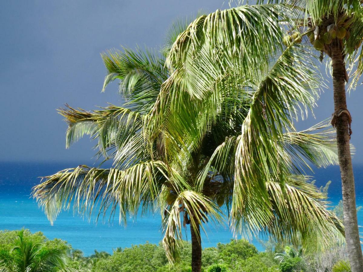 Mangoplaya Villa Deshaies Exteriör bild